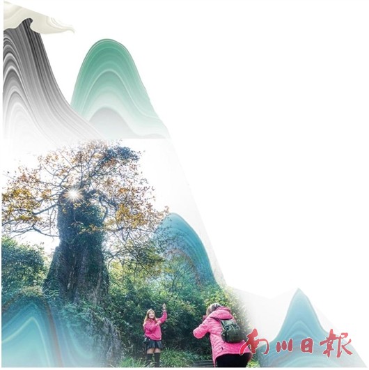 南川区经济总量_南川区图片(2)