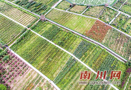 我区“五一”小长假旅游市场繁荣