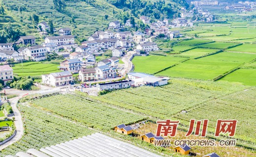 “三美”建家 景美人和