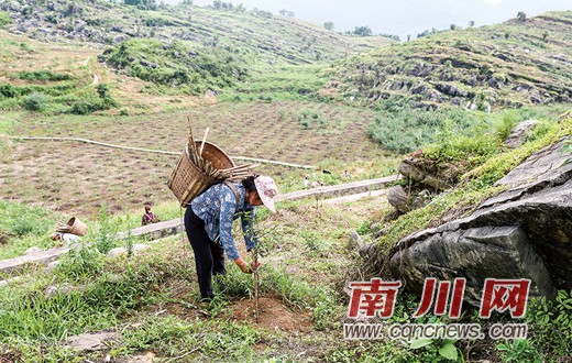 玉龙村:“煤矿村”变身“产业村”