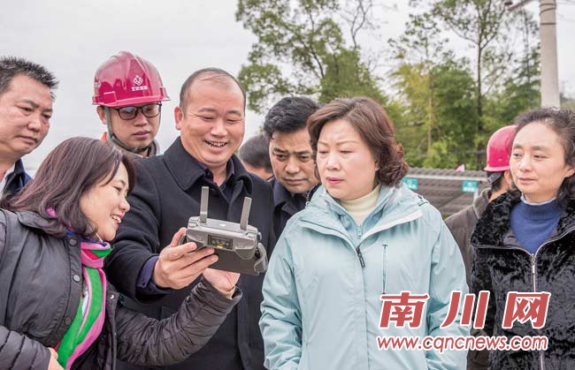 丁中平到大观镇调研乡村振兴工作