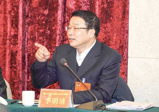 李明清参加民营经济组讨论