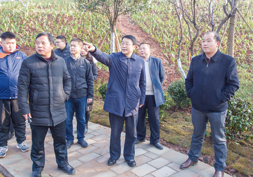 李明清调研大观木凉乡村振兴战略实施情况